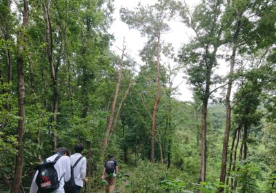 ここ、本当に登山道…???(登山道です)