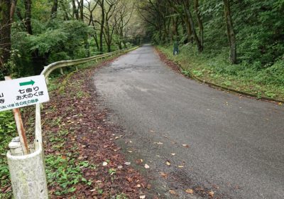 登山開始後約1時間、美の山公園道路に合流しました！