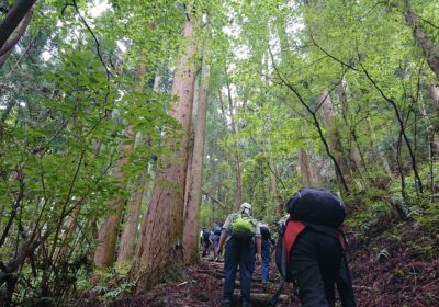 どんどん登りますが、ほんとにサウナにいるような状態でした。こまめな水分補給大切！