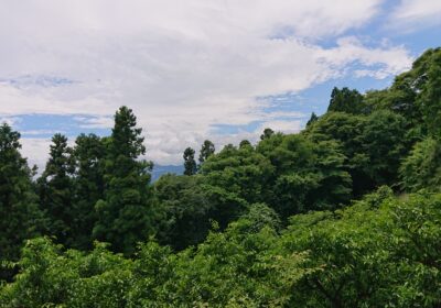 そして頂上に着くころにはこの天気に……あっつい！！！