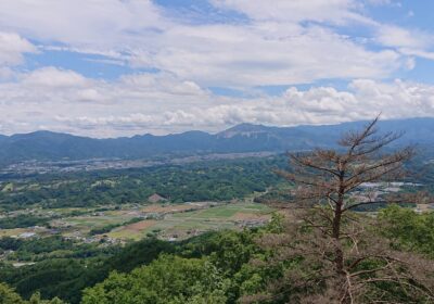 景色は良いけど…今年の夏も暑い(熱い🔥)夏になりそうだ。