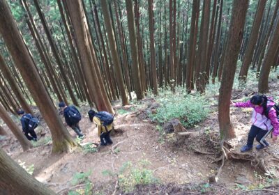 さて、一瞬下って、またもうちょっと登ると……