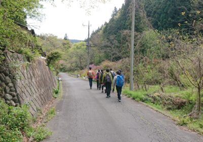 峠の始めの道は、しばらく舗装道が続きます。