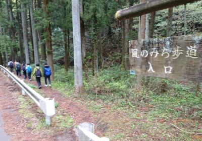 風のみち歩道をどんどん進んでいきます！
