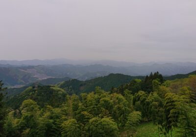 峠の茶屋さんからの景色です！