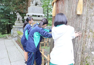 神木からエネルギーをもらっています