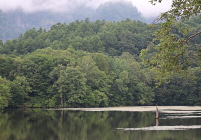 鏡池という名の通り川面に風景がくっきり写っていましたね