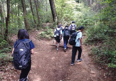女坂！全然違うじゃん…でもこっちの方が距離が長いです。どっちを取る？
