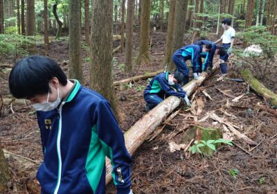 なので丸太を地面との間に噛ませて移動！文明ってすごいなぁ……。