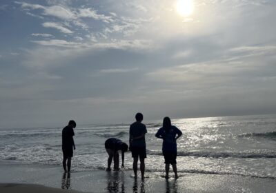 朝は海辺をお散歩、気持ちいい～！！